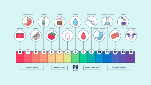 5 Cosas Del PH De La Piel Que No Conocías | ARGANOUR